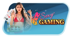 Sexy Casino