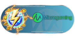 MICROGAMING