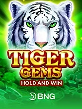 Tiger Gems-Hold and Win