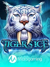 Tigers Ice