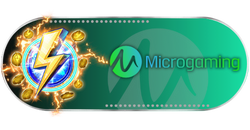 MICROGAMING